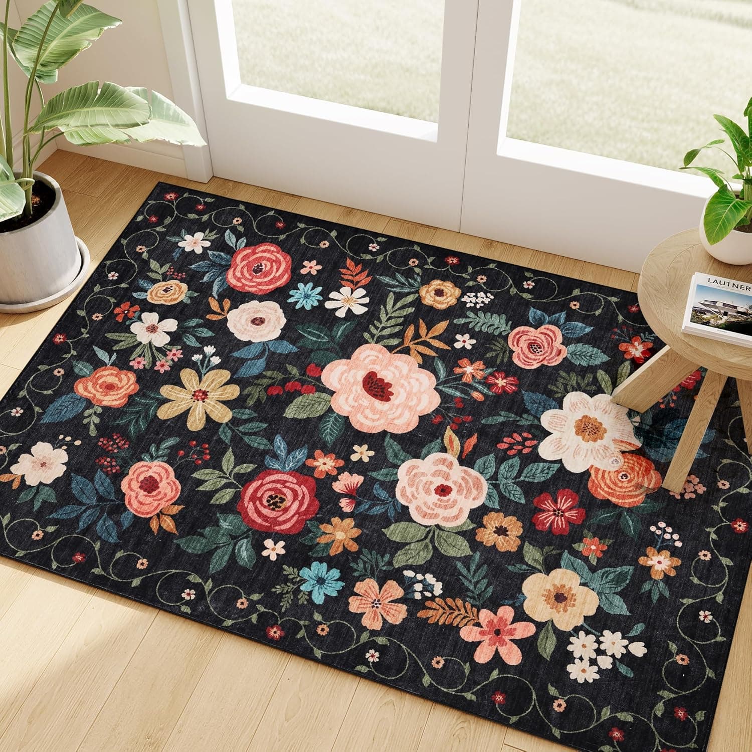 DUKINO Door Mat Rug, 2 x 3 ft